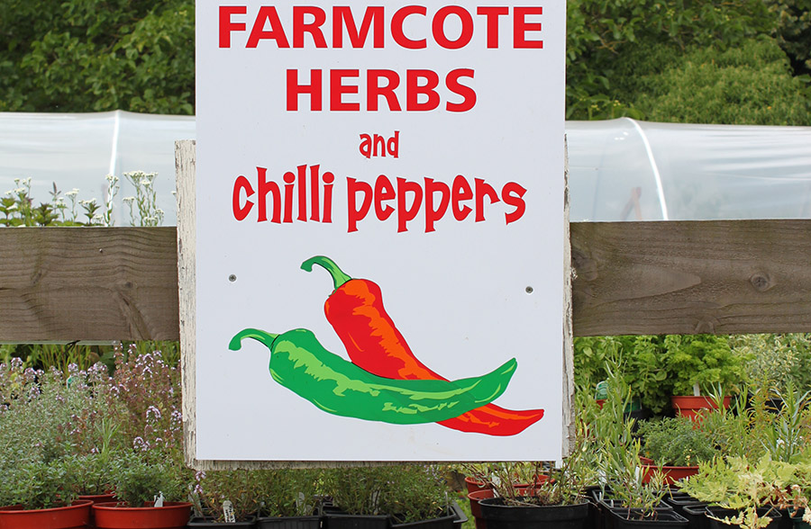 Farmcote Herbs and Chilli Peppers